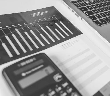 Servicio de Auditoria