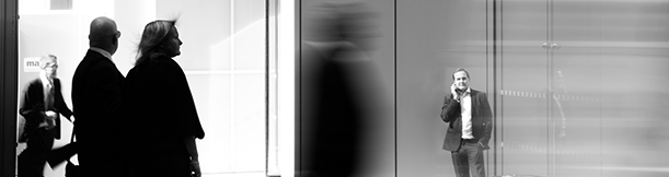 Servicio de Constitución